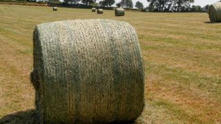 Une piste pour le recyclage des filets agricoles Une piste pour le recyclage des filets agricoles