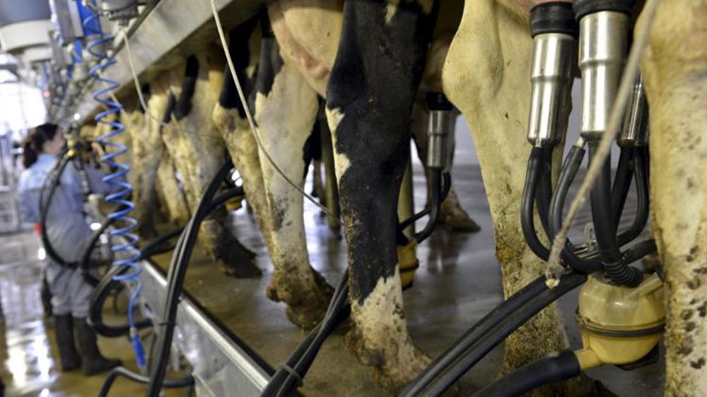 La collecte recule de 1,6 % en mai