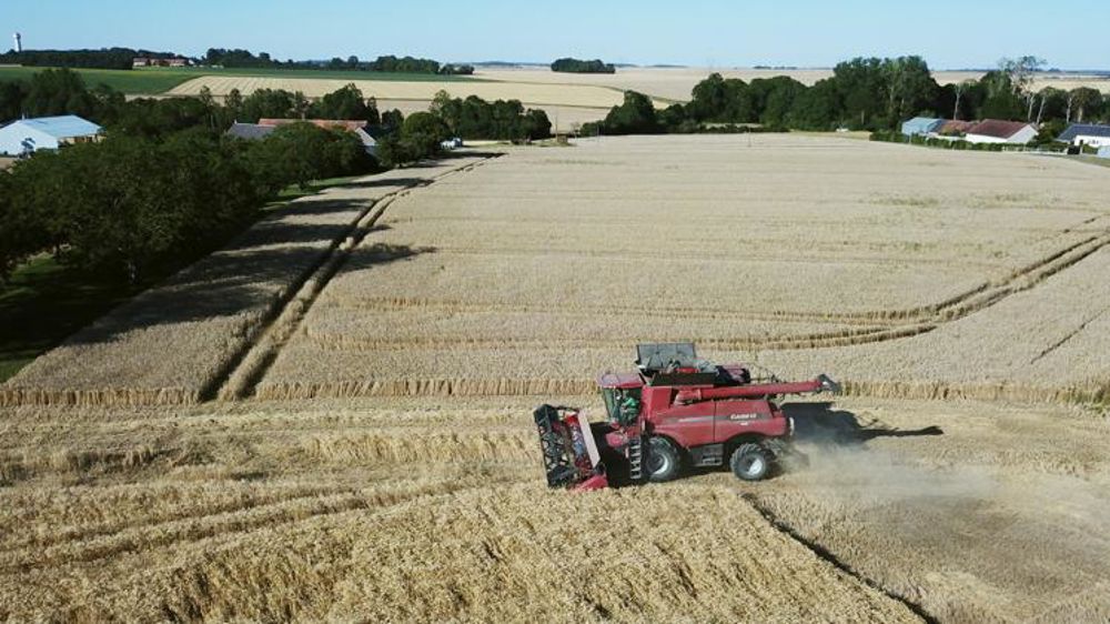 Les prix des terres en 2018 sont publiés
