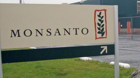 Un juge américain réduit drastiquement des dommages dus par Monsanto Un juge américain réduit drastiquement des dommages dus par Monsanto