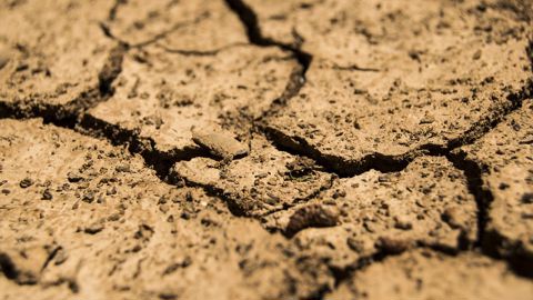 Les agriculteurs européens sont inquiets Les agriculteurs européens sont inquiets