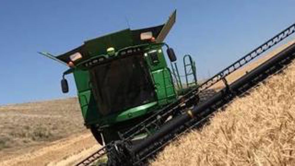 En plein dans la moisson