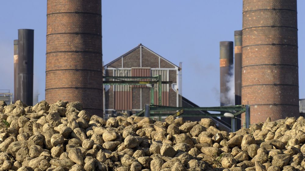 La Commission européenne « timorée » face à la crise