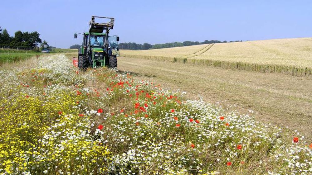 Les dérogations étendues