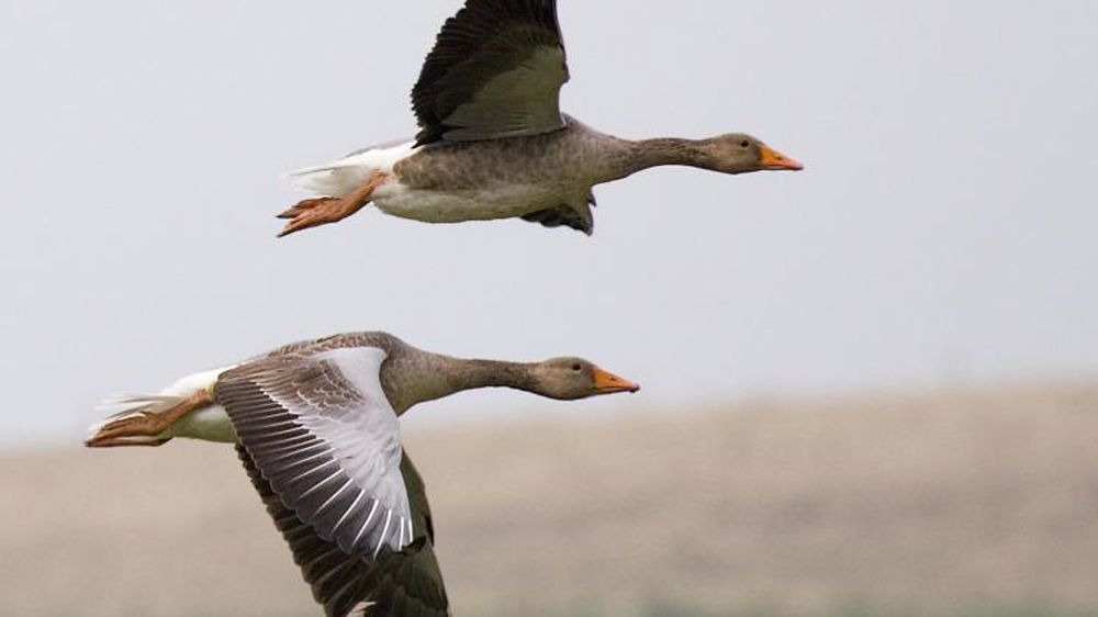 L’Union européenne épingle la France