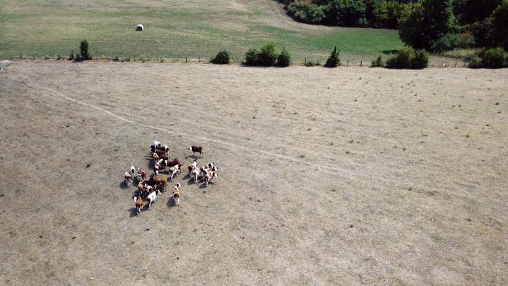 2019, troisième été le plus chaud