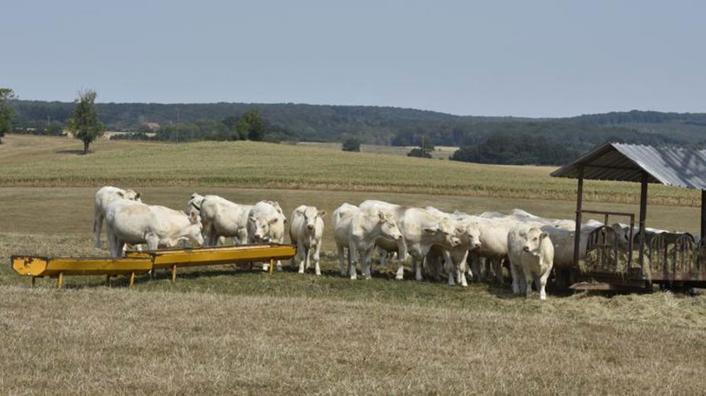 « Je veux qu’on solde les dossiers de 2018 »