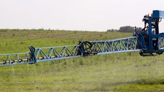 Le glyphosate interdit en Allemagne à la fin de 2023 Le glyphosate interdit en Allemagne à la fin de 2023