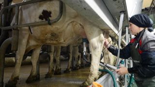 « Le prix du lait a progressé de 9 €/1 000 litres sur 9 mois » « Le prix du lait a progressé de 9 €/1 000 litres sur 9 mois »
