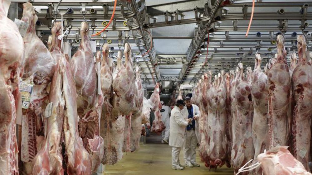 L214 drague tous azimuts