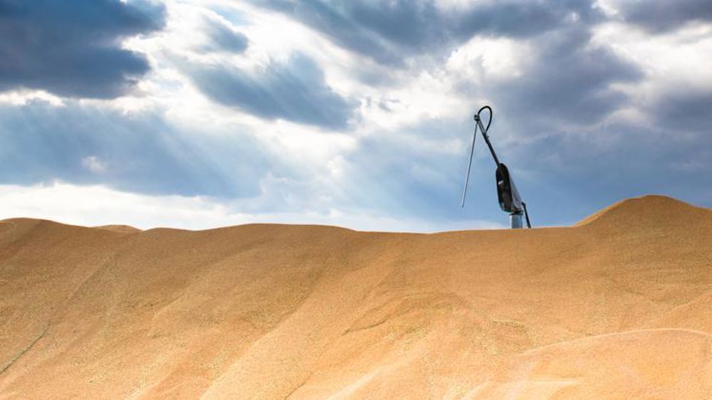 Le blé français agressif à l’exportation