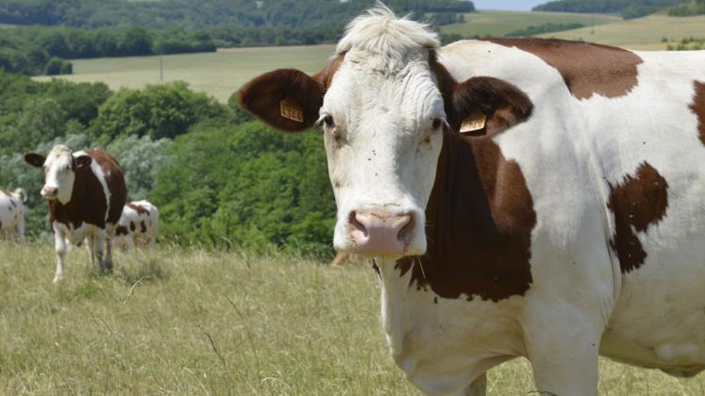 Un label pour vendre ses crédits carbone