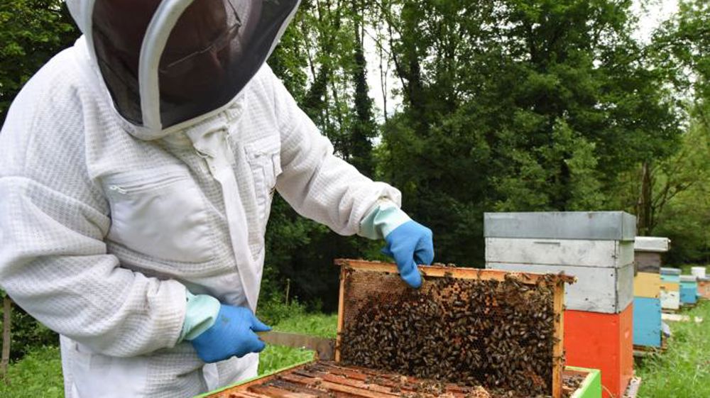 Vers l’interdiction de deux nouveaux « néonicotinoïdes »