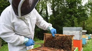 Vers l’interdiction de deux nouveaux « néonicotinoïdes » Vers l’interdiction de deux nouveaux « néonicotinoïdes »