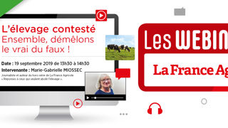 L’élevage contesté : ensemble, démêlons le vrai du faux L’élevage contesté : ensemble, démêlons le vrai du faux