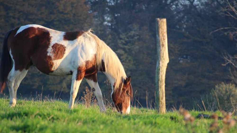 Ils ne veulent plus payer la TVA