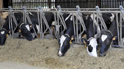Ensilages suspendus après l’incendie d’une usine Ensilages suspendus après l’incendie d’une usine