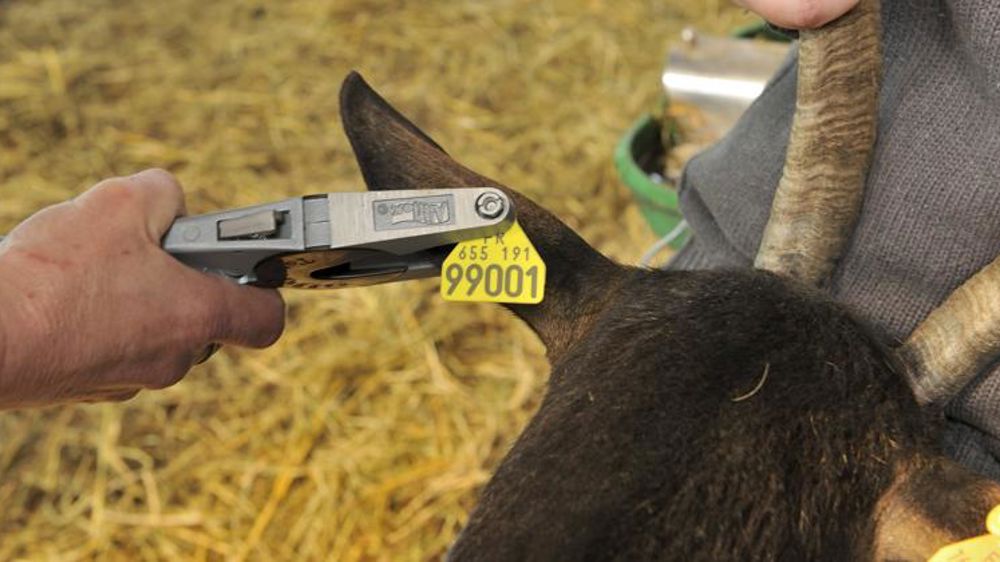 L’identification électronique obligatoire en passe d’être abandonnée