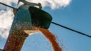 L’heure du bilan pour les cultures d’été L’heure du bilan pour les cultures d’été