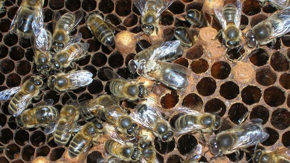 30 ans de surveillance remis en question