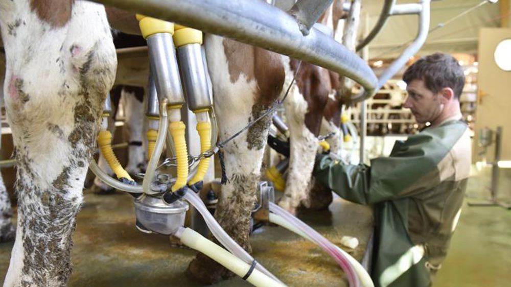 La collecte progresse, le prix recule