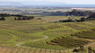 L’Australie attaque le Canada pour « discrimination » envers son vin L’Australie attaque le Canada pour « discrimination » envers son vin