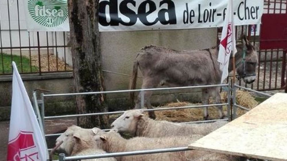 « Les politiques confondent zonage et dotation »