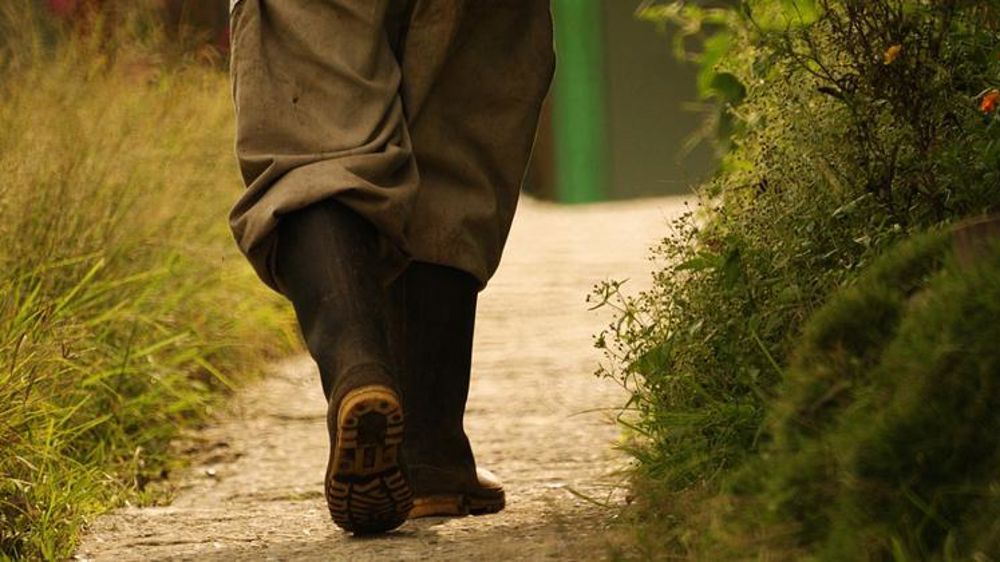 Le Modef dit « non à un Farm bill européen »