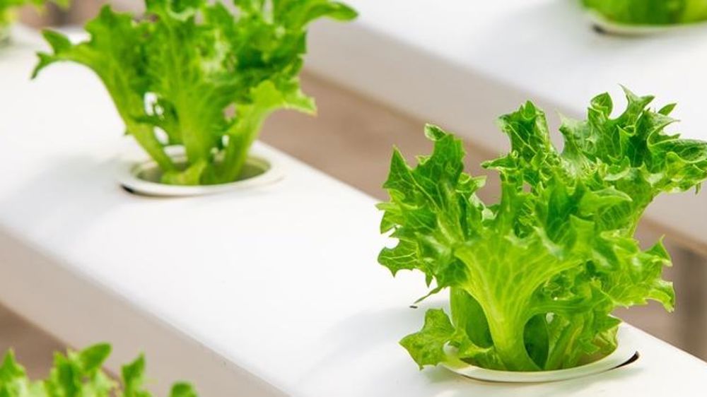 Veolia se penche sur l’agriculture de demain