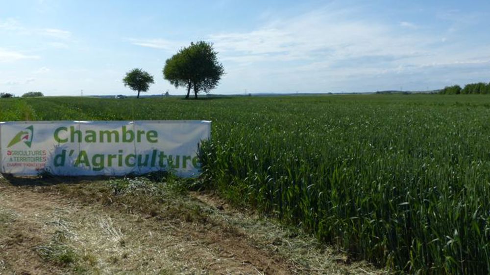 La régionalisation freinée par le Conseil d’État