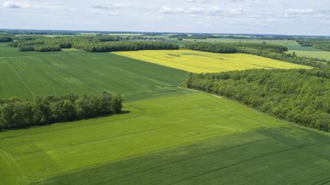 Les conditions d’accès pour 2017 et 2018 Les conditions d’accès pour 2017 et 2018