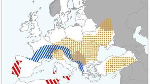 UE : des pertes très limitées liées au gel UE : des pertes très limitées liées au gel