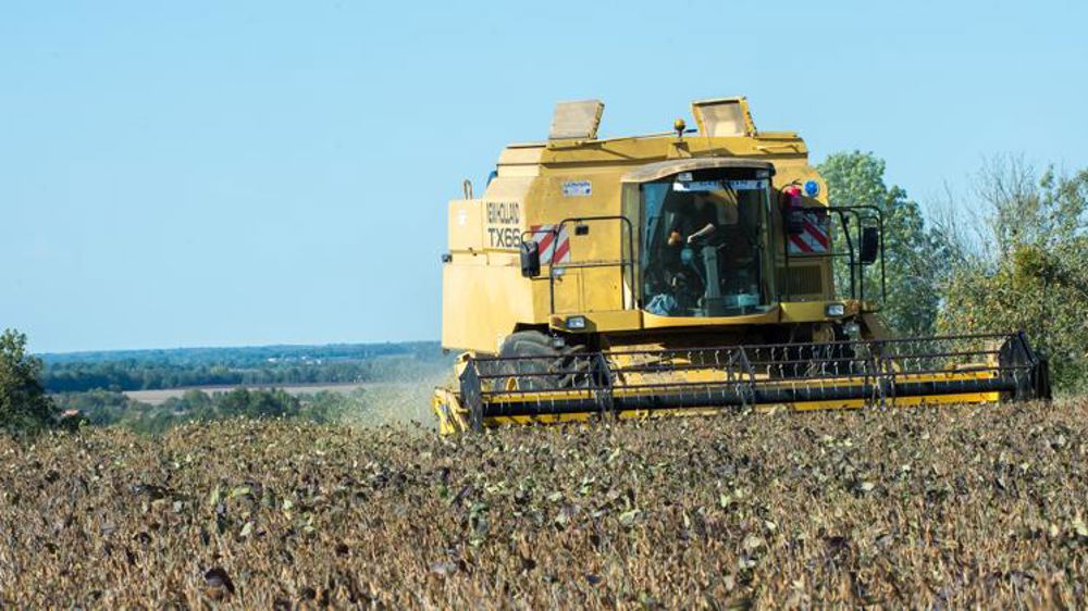 En quête de protéines « made in Europe »