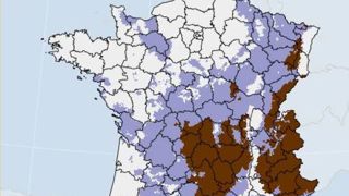 La France abat sa dernière carte La France abat sa dernière carte