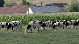 Danone plaide pour une agriculture « régénératrice » Danone plaide pour une agriculture « régénératrice »