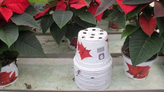 La collecte et le recyclage des pots horticoles fait partie de trois projets lauréats du volet agricole du plan de relance initié par le gouvernement après la crise sanitaire. ©P.Fayolle