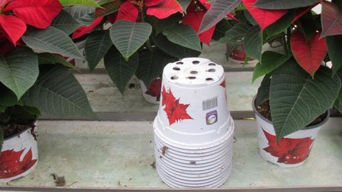 La collecte et le recyclage des pots horticoles fait partie de trois projets lauréats du volet agricole du plan de relance initié par le gouvernement après la crise sanitaire. ©P.Fayolle