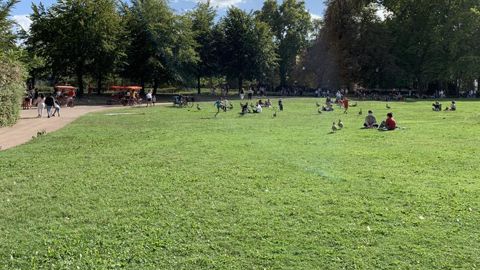 Comme de nombreuses fournitures du marché du jardin, la disponibilité en semences pour gazon va être en tension ces prochains mois, prévient la Société française des gazons. ©P. Fayolle