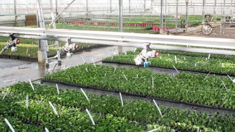 La dernière ordonnance de la loi Egalim 1 oblige un producteur qui dispose du Certiphyto à avoir bénéficié d’un conseil stratégique pour son renouvellement, et ce dès 2024. Astredhor prépare une action en ce sens. ©P.Fayolle