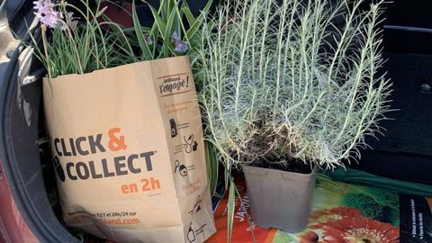 Depuis en moyenne deux ans, 65 % des jardineries et graineteries proposent du click & collect.©François Arnould 