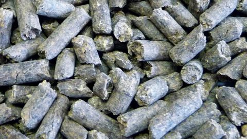 Attention aux teneurs et aux formes d’engrais azotés et/ou organiques utilisés pour les cultures. Attention aussi aux origines végétales « car il n’y a pas de méthode d’analyse officielle pour caractériser formellement, a posteriori, le caractère “organique” des fertilisants ». ©V.V.