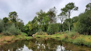 La préfecture de Vendée a été élue Capitale française de la biodiversité 2021 : son prix lui a été remis à l’occasion du Salon des maires, à Paris. ©Myriam Alluchon La préfecture de Vendée a été élue Capitale française de la biodiversité 2021 : son prix lui a été remis à l’occasion du Salon des maires, à Paris. ©Myriam Alluchon
