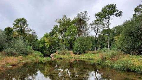 La préfecture de Vendée a été élue Capitale française de la biodiversité 2021 : son prix lui a été remis à l’occasion du Salon des maires, à Paris. ©Myriam Alluchon
