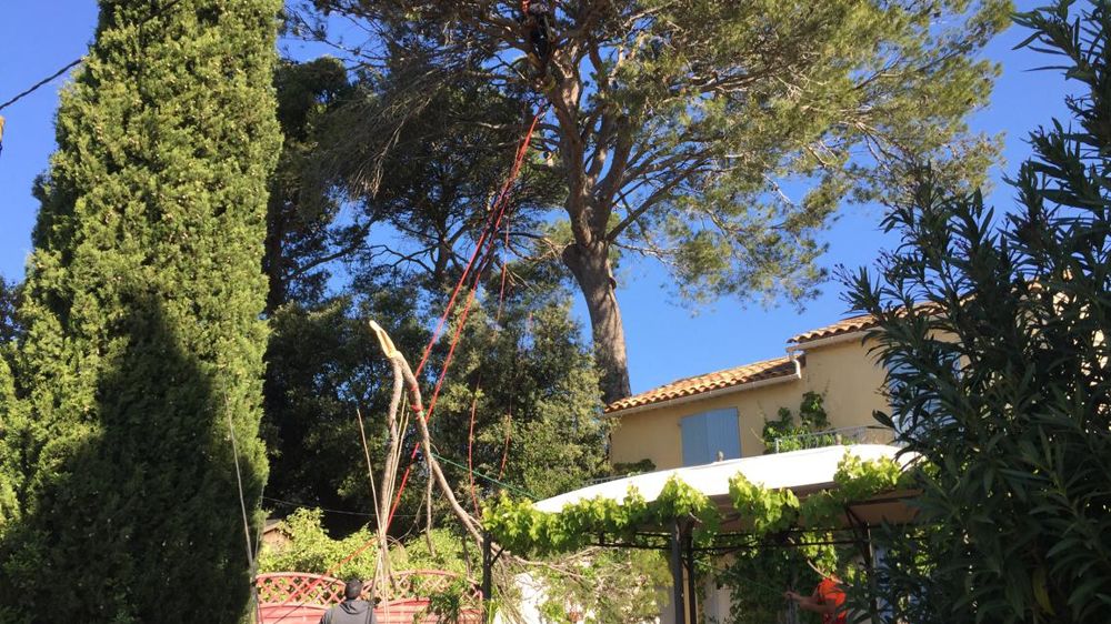 La plupart des chantiers d’espaces verts sont à l’arrêt malgré les appels du Gouvernement à reprendre l’activité. Un message jugé contradictoire par l’Unep qui a adressé une lettre au Premier ministre. ©Pascal Fayolle