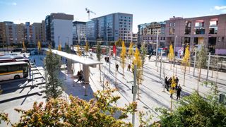Place de Francfort à Lyon, Capitale Française de la Biodiversité en 2019 ©L. Danière Place de Francfort à Lyon, Capitale Française de la Biodiversité en 2019 ©L. Danière
