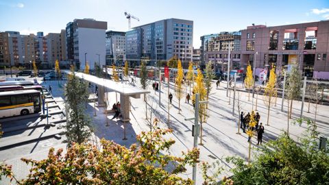 Place de Francfort à Lyon, Capitale Française de la Biodiversité en 2019 ©L. Danière