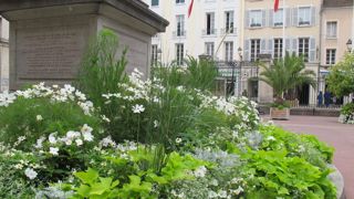 Quel fleurissement pour cet été dans les villes de France ? Il pourrait être absent ou être assuré à minima selon les villes. ©P. Fayolle