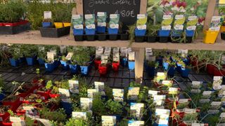 Comment l’envie de jardiner se poursuit-elle alors que le déconfinement est largement entamé ? La nouvelle enquête que nous vous proposons vise à répondre à cette question. ©O. Maillard