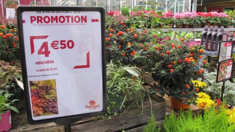 InVivo Retail, qui détient les enseignes Gamme Vert, Jardiland et Delbard, vient d’annoncer vouloir porter la part des produits Français dans ses approvisionnements en végétaux de 66 à 90 % d’ici 2025. ©P. Fayolle 