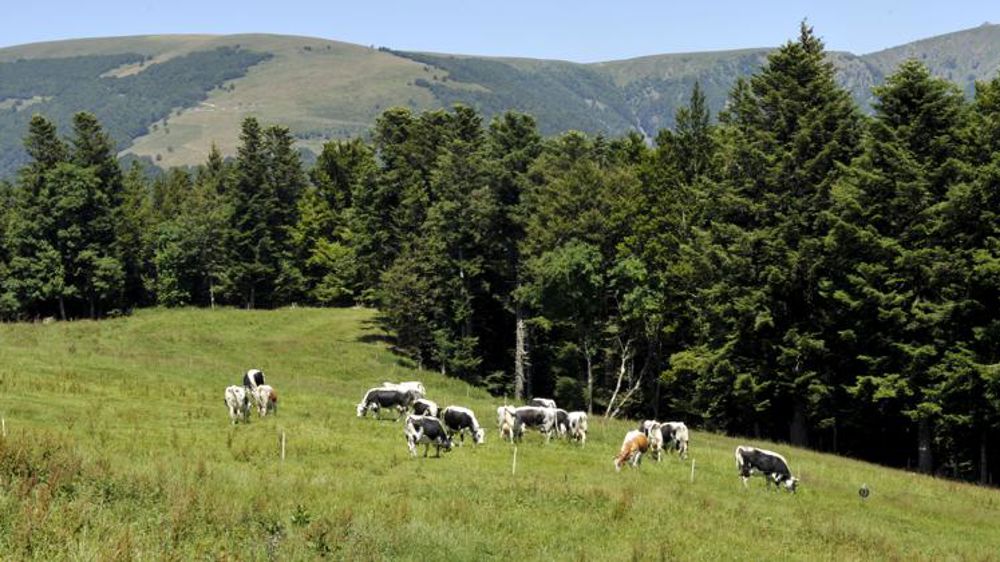 La pousse redevient excédentaire